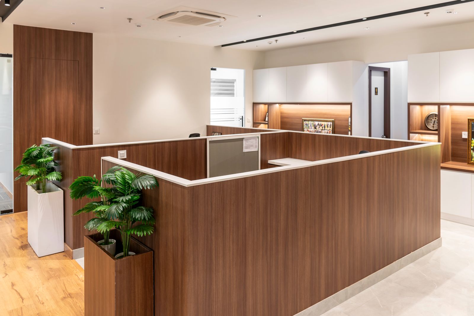 A bright office interior with a timber reception counter and planting